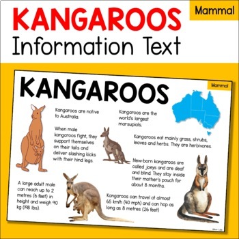 Preview of Kangaroo Information Text - Australian Mammal Animal Fact Sheet about Kangaroos