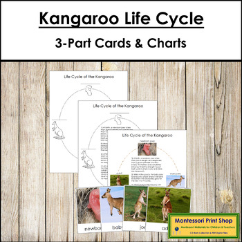 Kangaroo Life Cycle Word Mat - Primary Resource - Twinkl