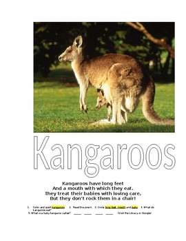 Preview of Kangaroos