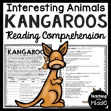 Kangaroos Informational Text Reading Comprehension Workshe