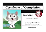 Karate Kat Times Tables achievement certificates
