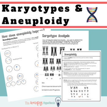 Preview of Karyotype Worksheet and Activity.  Genetic Mutations Worksheet.  Print & Digital