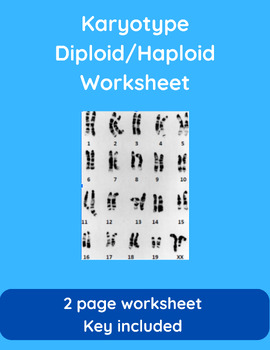 Preview of Karyotype Practice Problems (Diploid and Haploid)