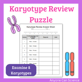 Karyotype Review Activity