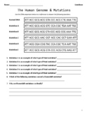 Karyotypes, Chromosomal, & Point Mutations Worksheet