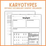 Karyotypes Vocabulary Graphic Organizer | Biology Genetics Notes