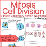 Mitosis Vocabulary Graphic Organizer | Biology PMAT Cell D