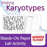Karyotyping Lab /  Make Human Karyotypes
