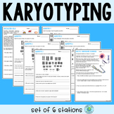 Karyotyping Stations