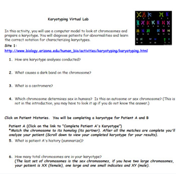 Preview of Karyotyping Virtual Lab- Google Docs Resource with Answer Key!