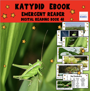 Preview of Katydids - Emergent Reader - Google Slides™ ebook - 0041