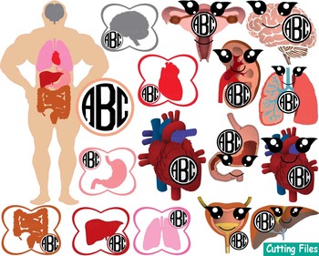 Preview of Kawaii Organs Anatomy Cutting science SVG Doctor Medic hospital ADN Clip Art 41s
