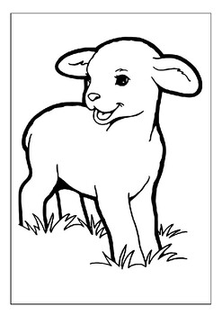 baby sheep coloring pages