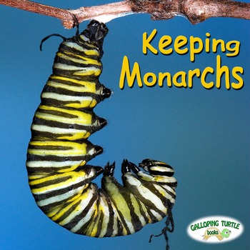 Preview of Keeping Monarchs - A Teacher Resource