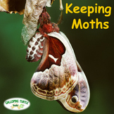 Keeping Moths