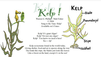 Preview of Kelp! - Sing Along Science