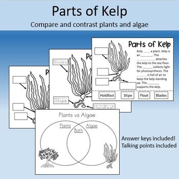 Preview of Kelp Anatomy Labeling- Compare and Contrast Parts of Plants and Algae