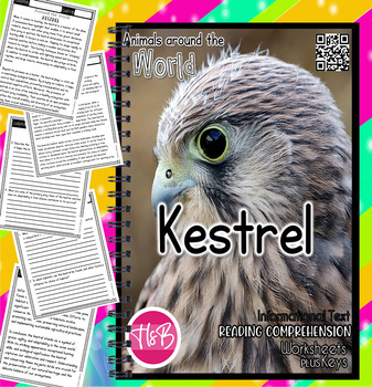 Preview of Kestrel | Worksheets | Animals Around The World | Science | Nature