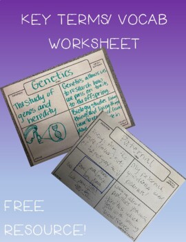 Preview of Key Terms/ Vocabulary Worksheet
