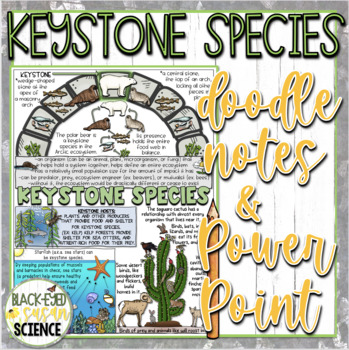 Preview of Keystone Species Doodle Notes & Quiz (PDF and Google Form Quizzes) + PowerPoint
