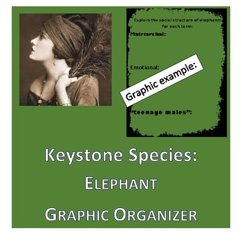 Keystone Species ELEPHANTS graphic organizer by Life in the Middle