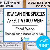 Keystone Species Phenomenon 5 Day Unit | Food Webs Ecosyst