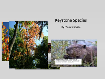Preview of Keystone Species Powerpoint