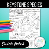 Keystone Species/Trophic Cascade Sketch Notes (Doodle Notes)