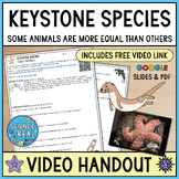 Keystone Species Video Worksheet w/ Free Video Link - Digi