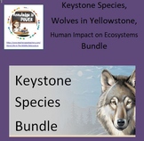 Keystone Species, Wolves in Yellowstone, Impact on Ecosyst
