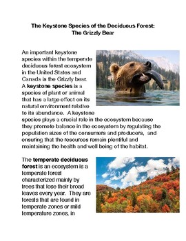 Preview of Keystone Species of the Deciduous Forest: The Grizzly Bear PDF