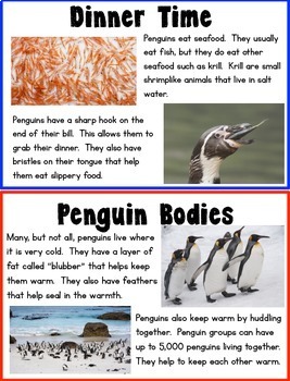 Kid Friendly Penguin Research by JD's Rockin' Readers | TPT