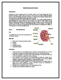 Kidney Dissection Notes and Worksheet