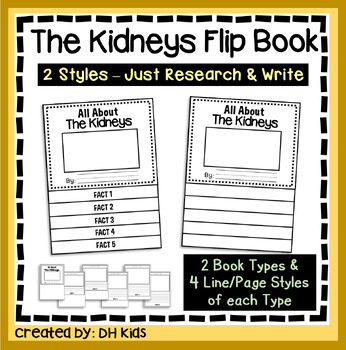 Preview of Kidney Flip Report, Body Organs Research Project, Human Body Anatomy