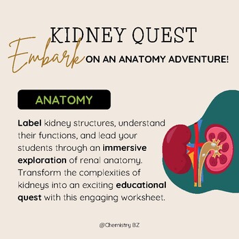 Preview of Kidney Quest: Embark on an Anatomy Adventure!