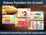 Kidneys PowerPoint - Detailed slides for A-Level Teaching