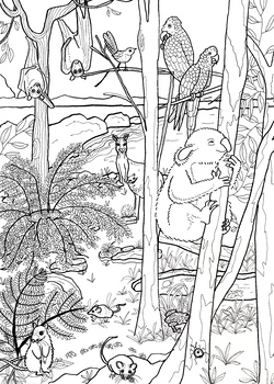 Preview of Kids Colouring: Animals in Australia