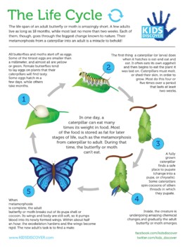 Preview of Kids Discover Infographic: Butterfly Life Cycle