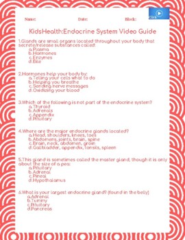 Preview of Kids Health: Endocrine System Video Guide