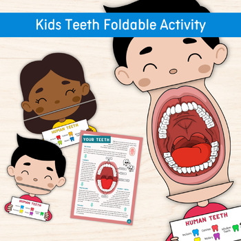 Preview of Kids Teeth Foldable Activity, Science Learning Printable