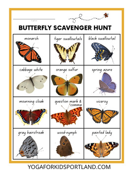 Preview of Butterfly Scavenger hunt