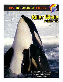 WHALES: Killer whale Resource File by Archive Atlantic | TpT