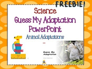 Animal Adaptations Ppt Teaching Resources | TPT