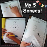 Kinder Preschool Science ⭐ 5 Senses The Five Senses Worksh