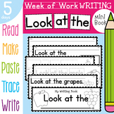 Writing Book - Look at the - 5 Days of Sequenced Activitie