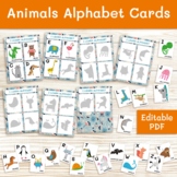 Kindergarten Alphabet shadow game. ABC flashcards. Alphabe