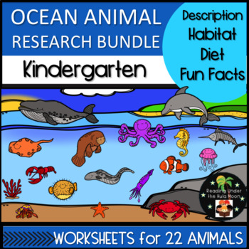 Kindergarten Animal Research Bundle - Ocean Animal Worksheets | TPT