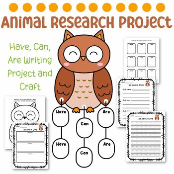 Kindergarten Animal Research Project and Craft: All About Owls | TPT