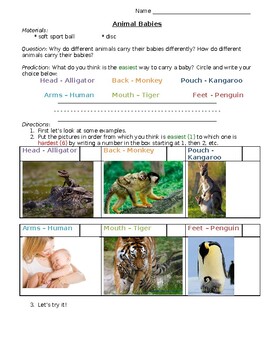 Core Knowledge - Kindergarten - Animal Unit - Carrying Babies | TPT