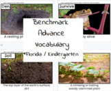 Kindergarten - Benchmark Advance Vocabulary